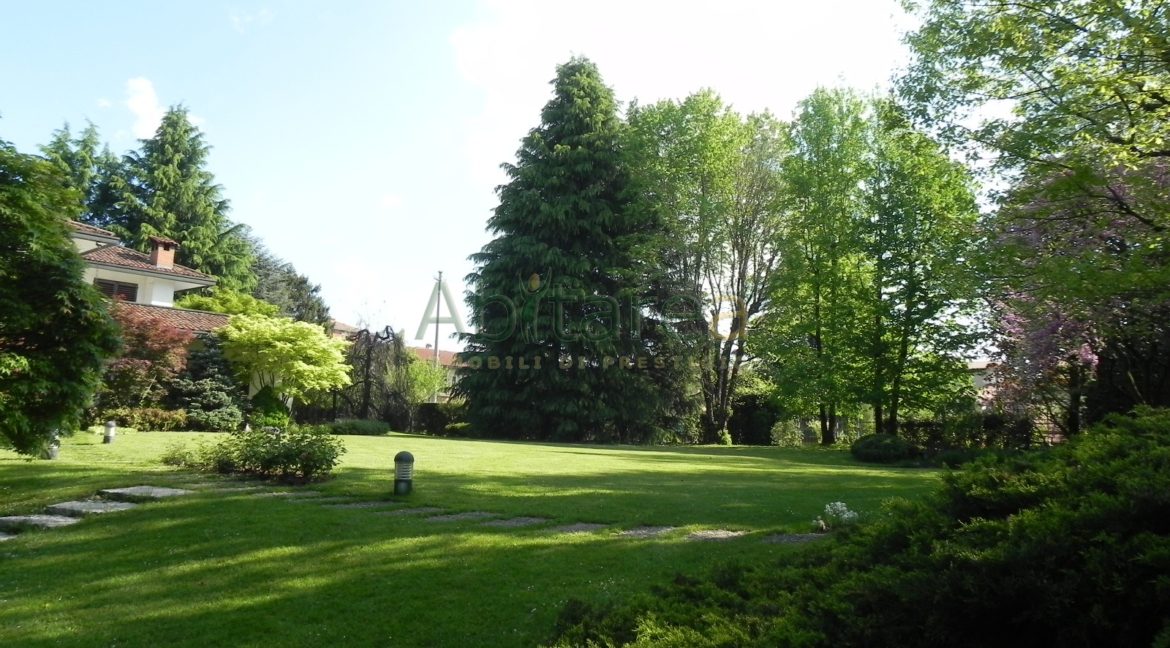 Foto 25 03 2014 003
