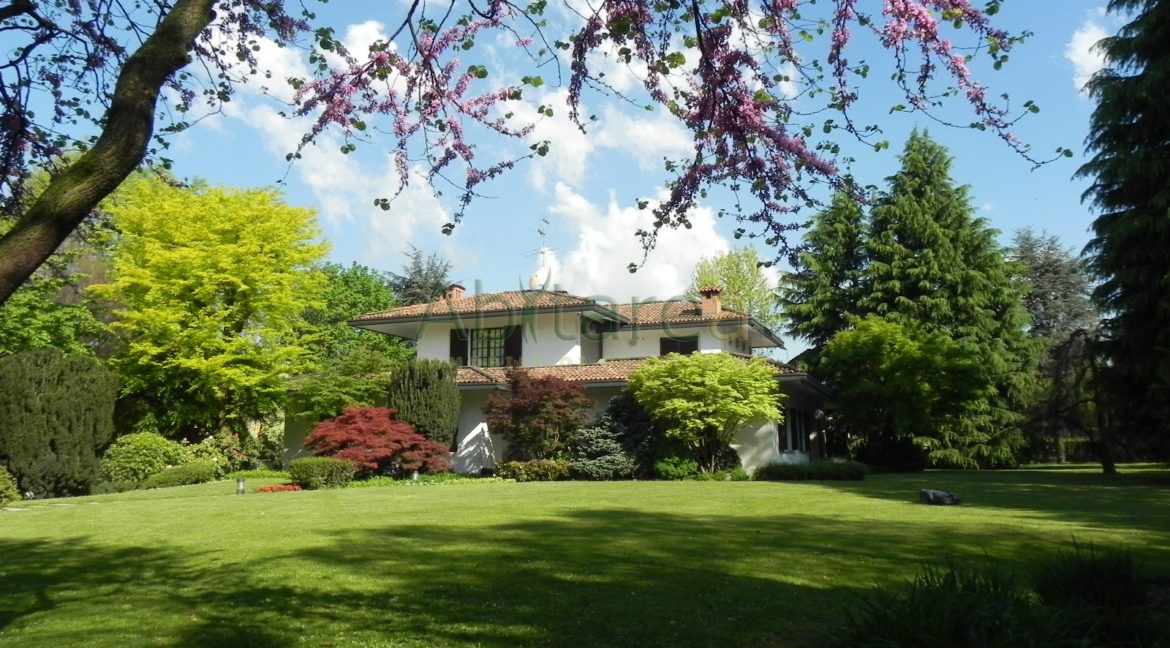 Foto 25 03 2014 017