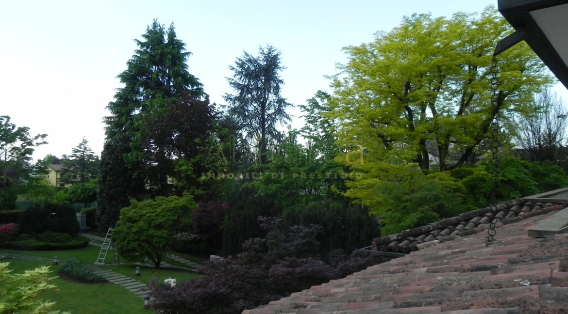 Foto 25 03 2014 050