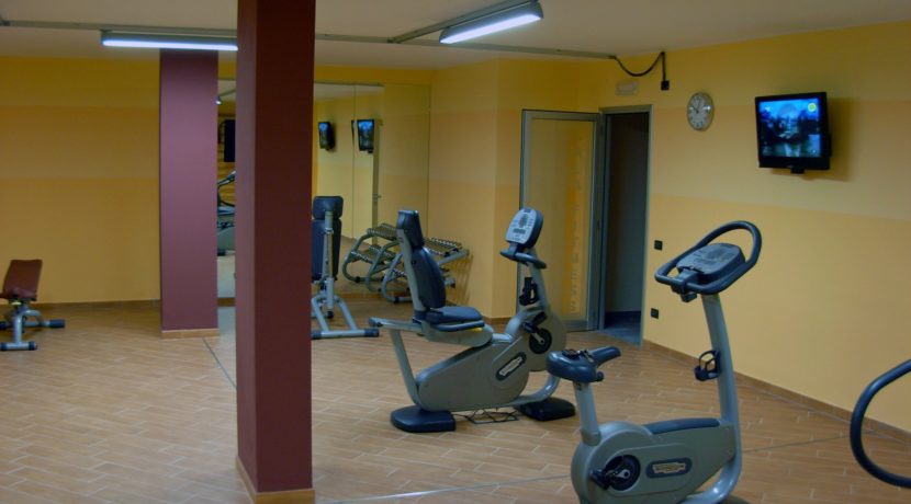 Dettaglio Palestra