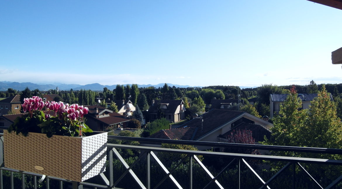 SAM_1606