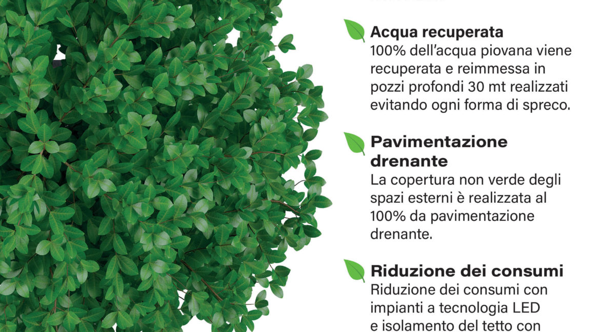 2 - Brochure CD - Green mod