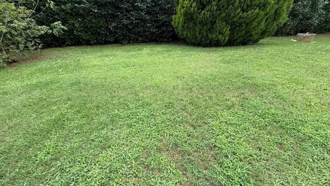 Giardino dett_